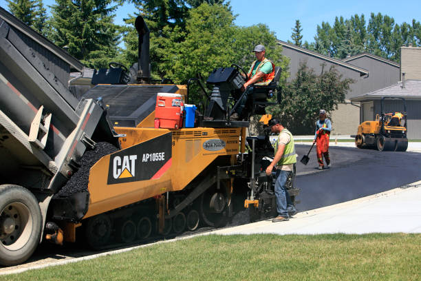 Best Local Driveway Pavers  in Hornsby Bend, TX